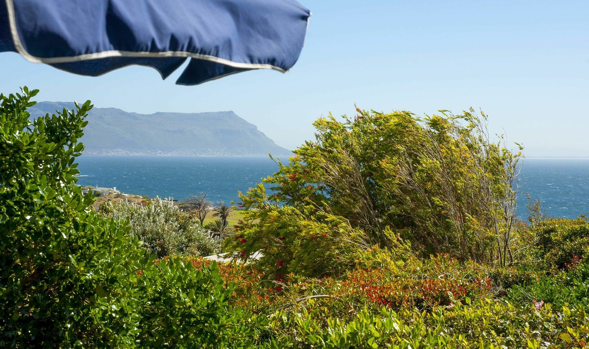 Restio Garden Studio Simonʼs Town Exteriör bild